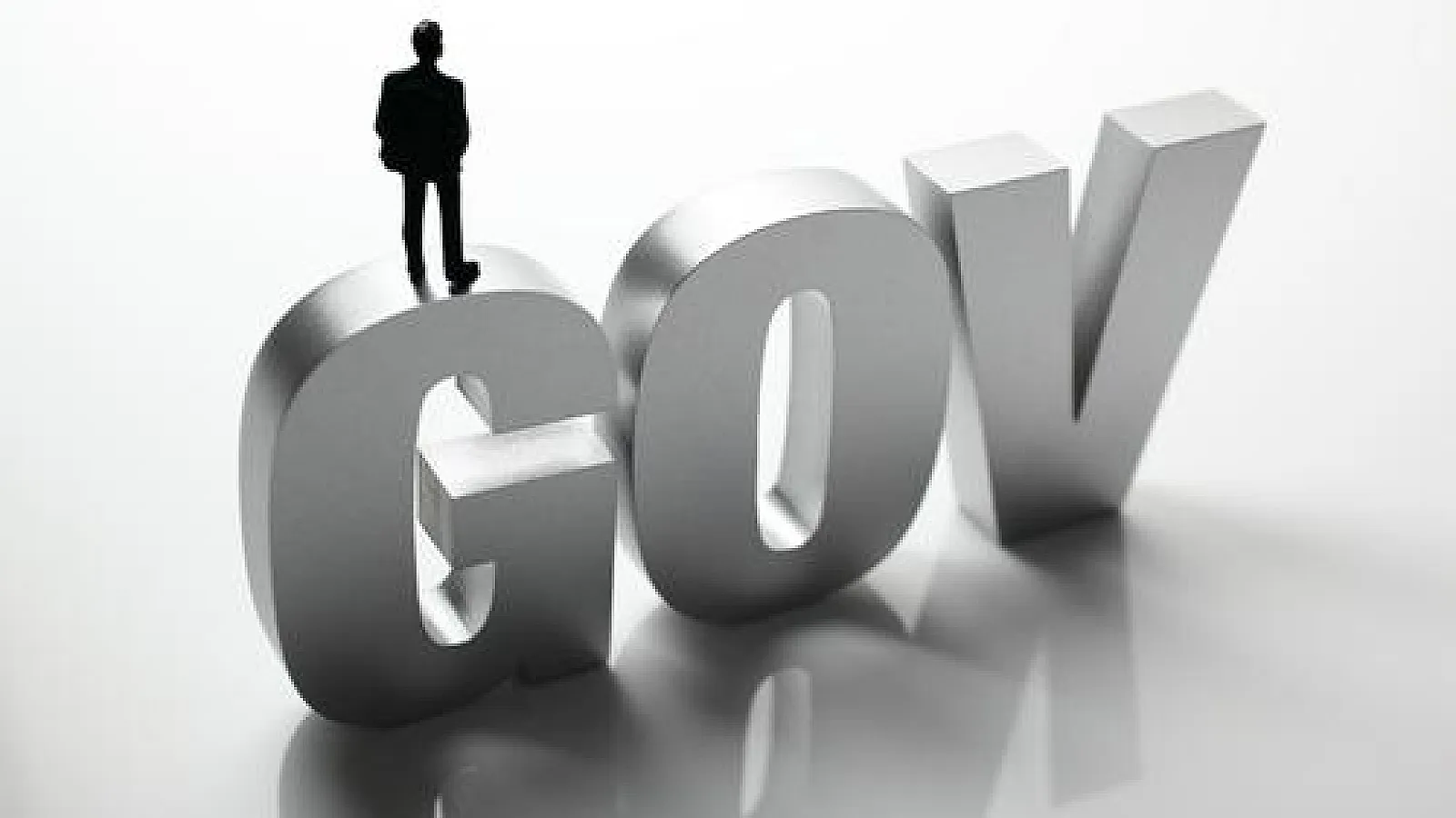 gov legislations and international affairs courses