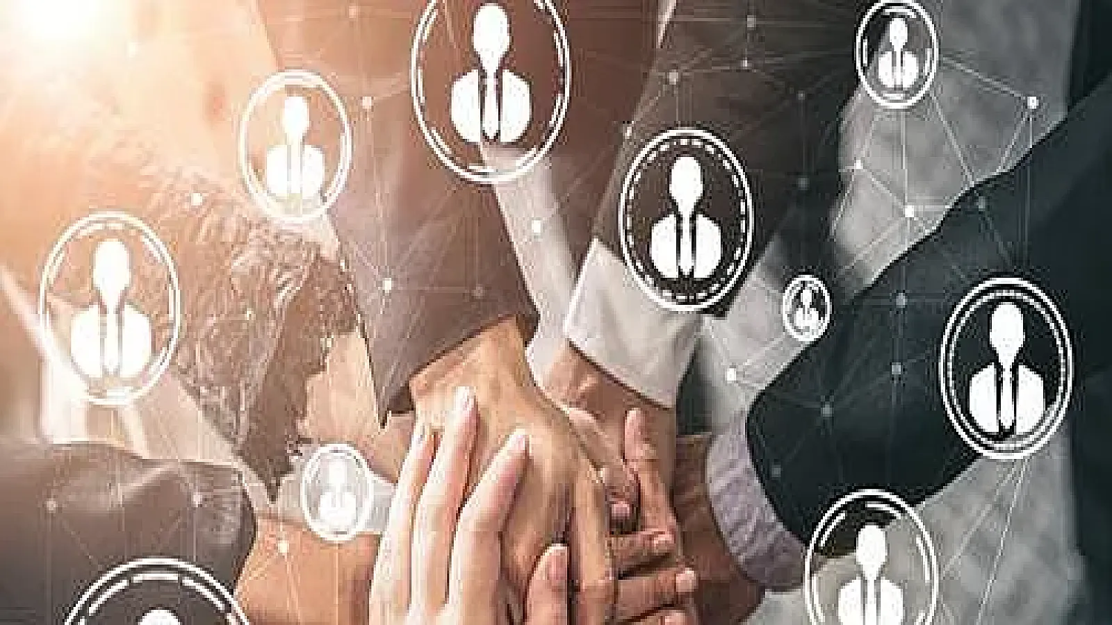 human-resources-courses